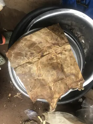 Leopard Skin (Dry)