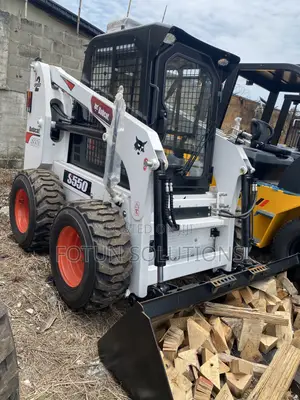 Bobcat Payloder
