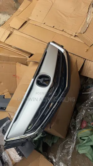 Front Grille 2016 Acura TLX