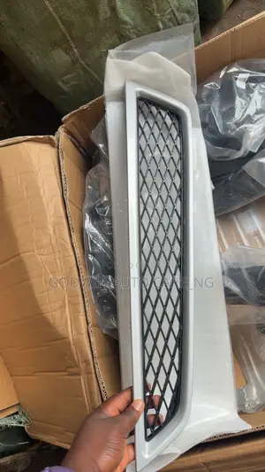 Bumper Net 2012 Acura MDX