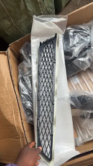 Bumper Net 2012 Acura MDX