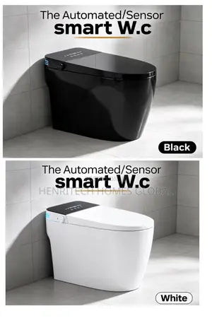 Smart Sensor Intelligent Wc With Remote Control Premium Quality