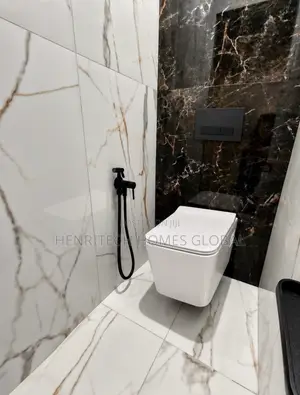 Wall Hung WHITE CONCEAL WATER CLOSEt Premium (Quality Dm Us )