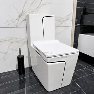 Premium Executive Water Closet With Warranty