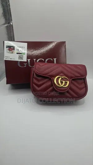 Luxury Gucci Mini Bag