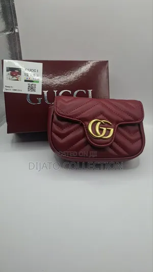 Luxury Gucci Mini Bag