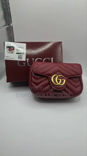 Luxury Gucci Mini Bag