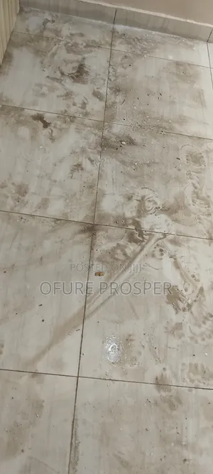 Cleaning Services and Fumigation