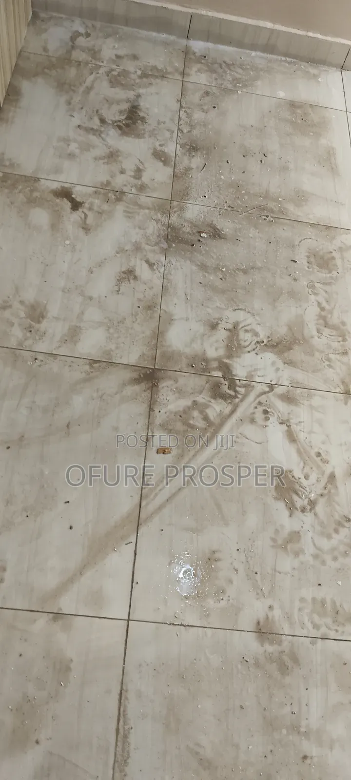 Cleaning Services and Fumigation