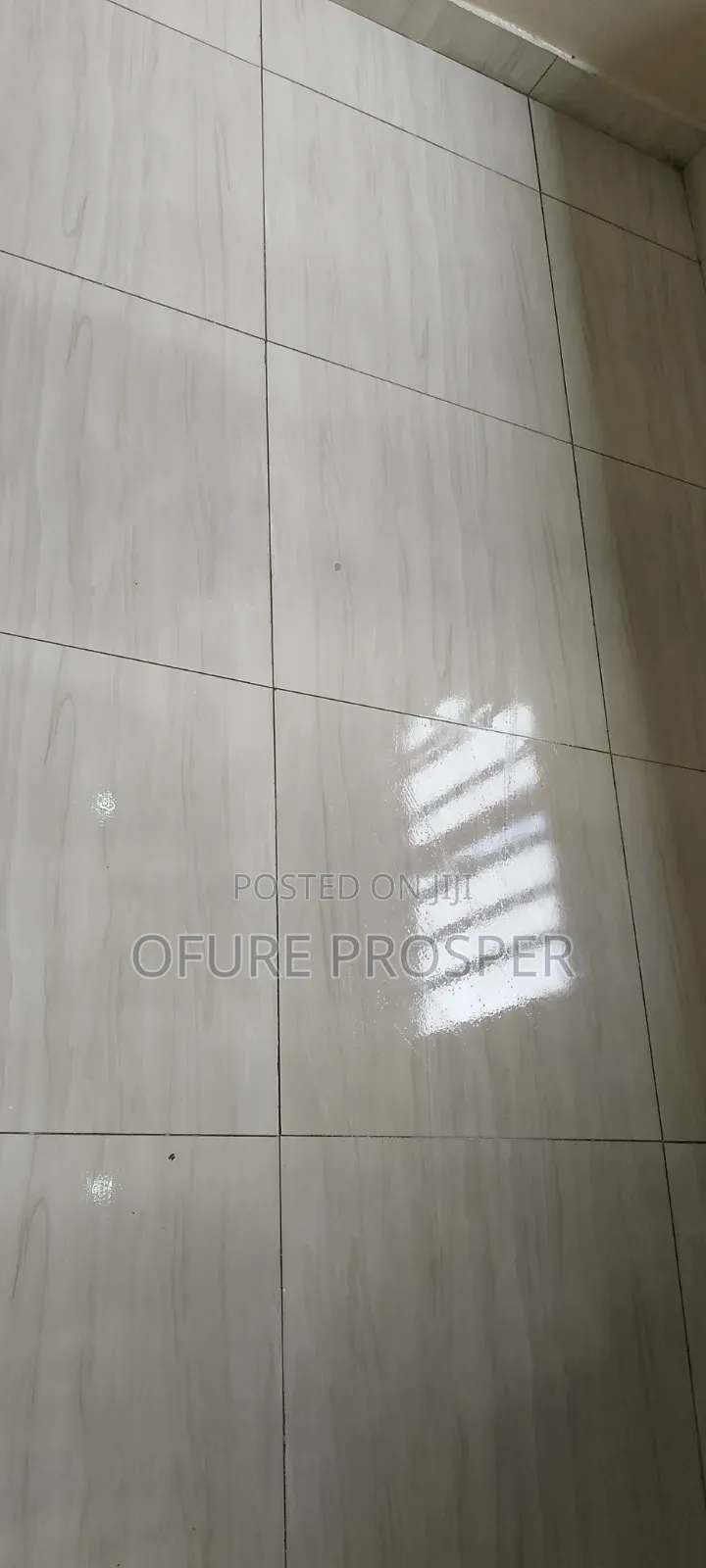 Cleaning Services and Fumigation