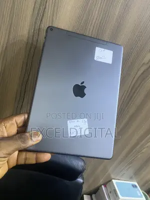 Apple iPad Air 256 GB Gray