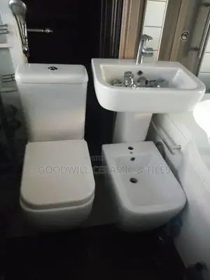 Dual Flush Water Closet Toilet Seat