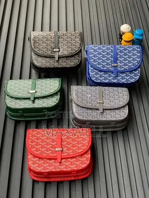 Goyard Crossbody Bag