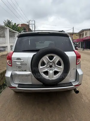 Toyota RAV4 2007 Silver