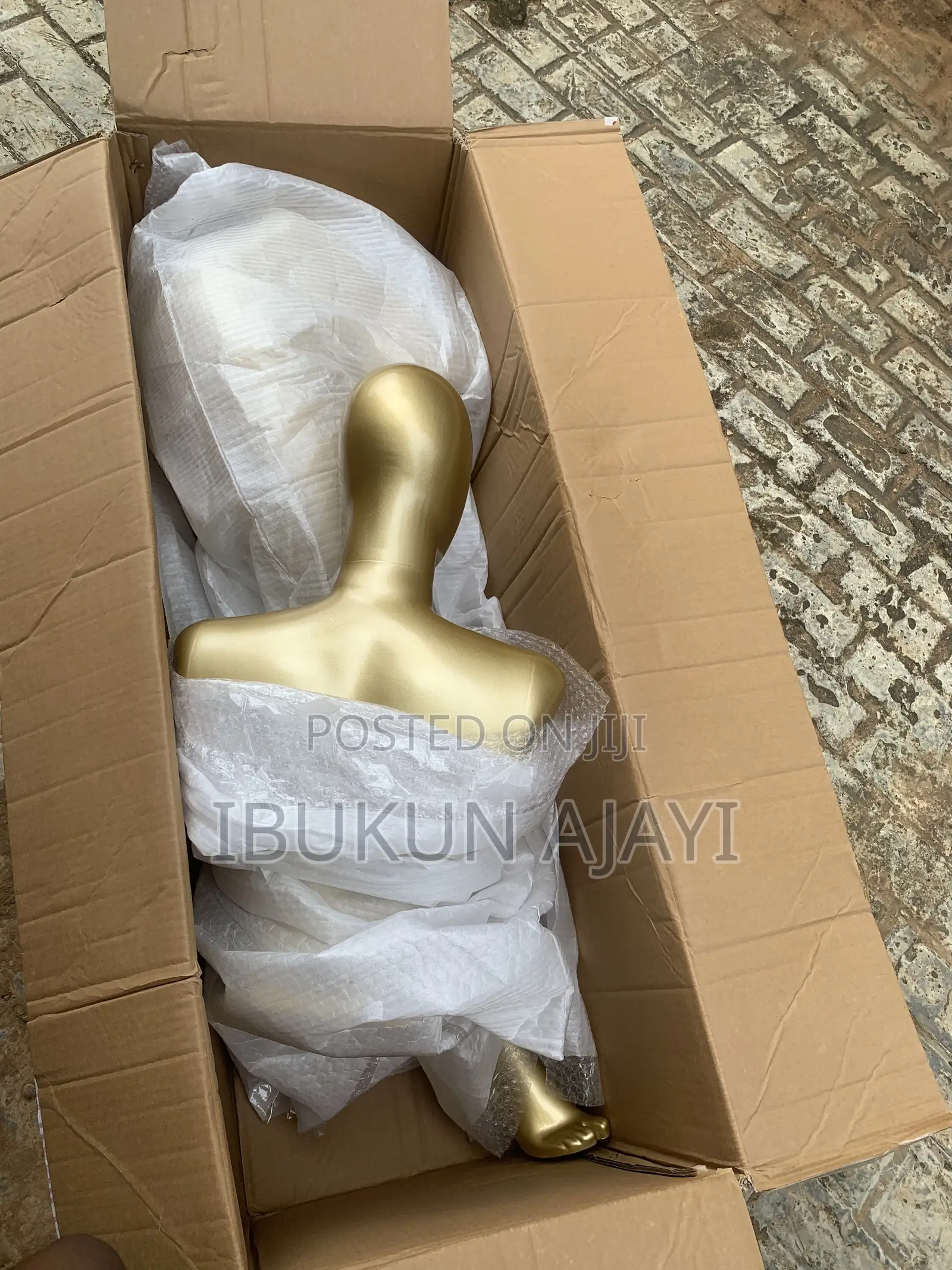 BBL Mannequin