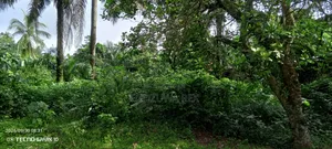 1 Plot of Land Sale