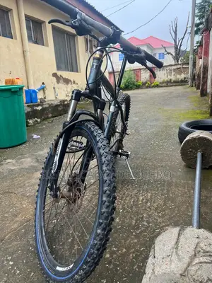 Mountain Bicycle