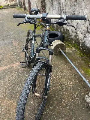 Mountain Bicycle