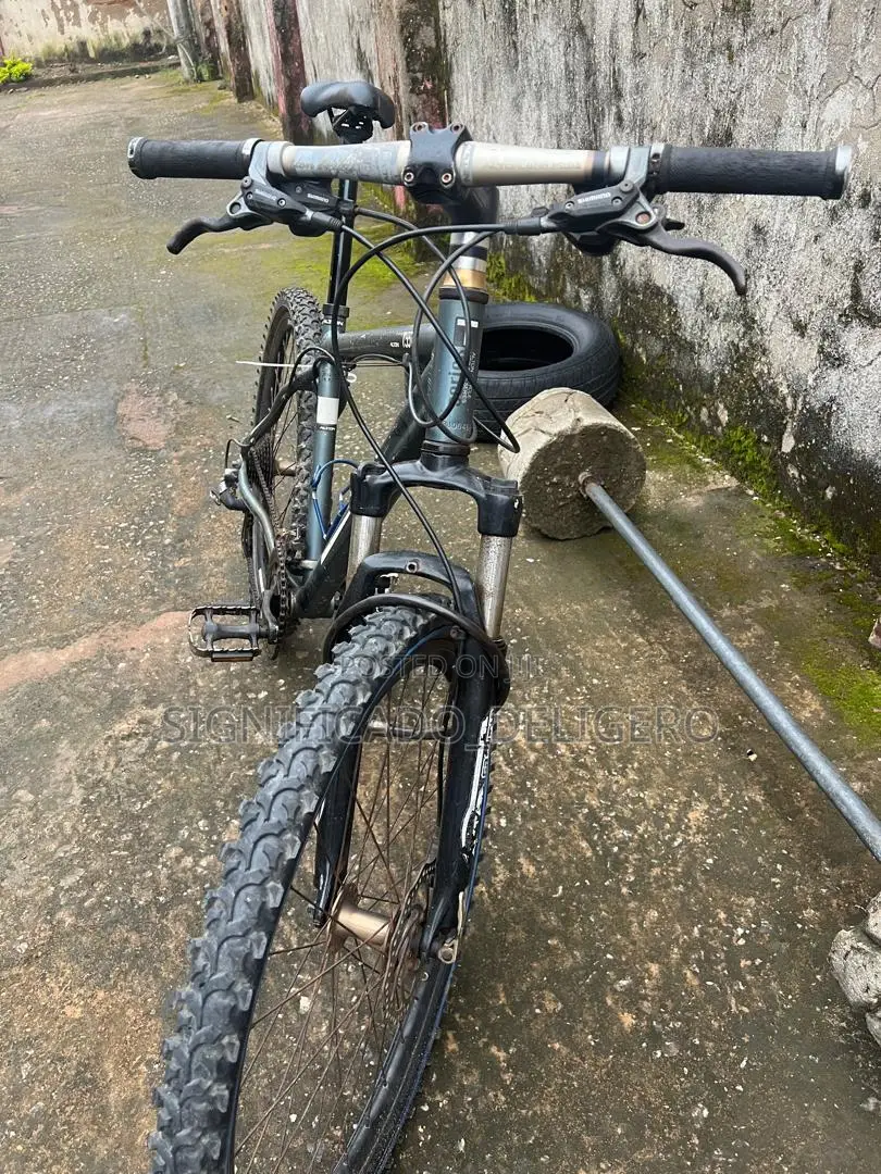 Mountain Bicycle