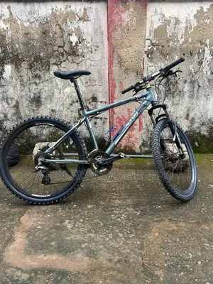 Mountain Bicycle