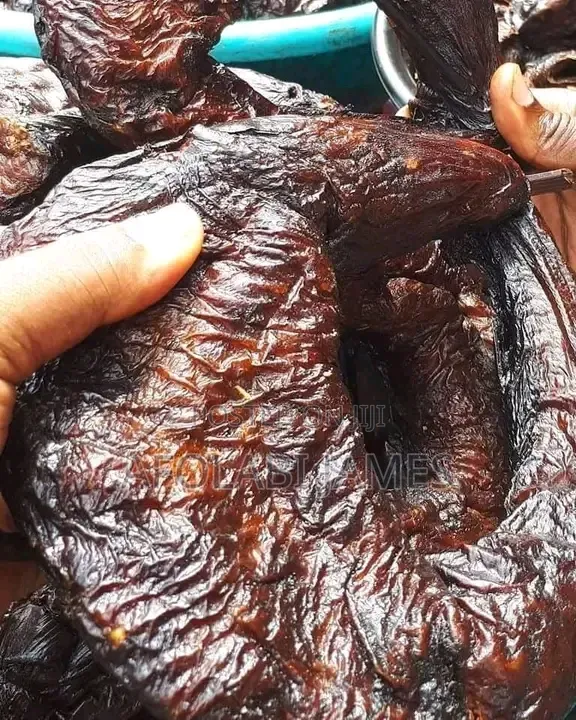 Nembe Crayfish Farm
