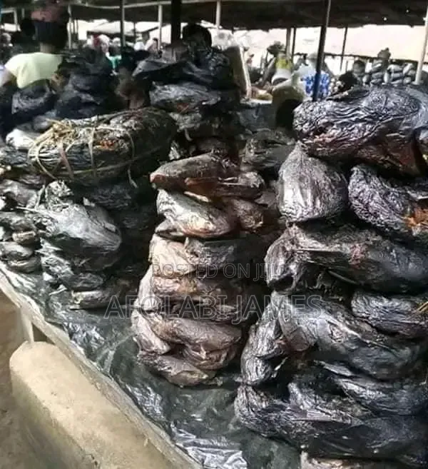 Nembe Crayfish Farm