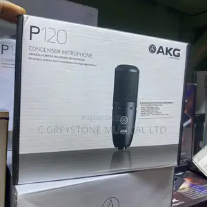 AKG Studio Mic P120