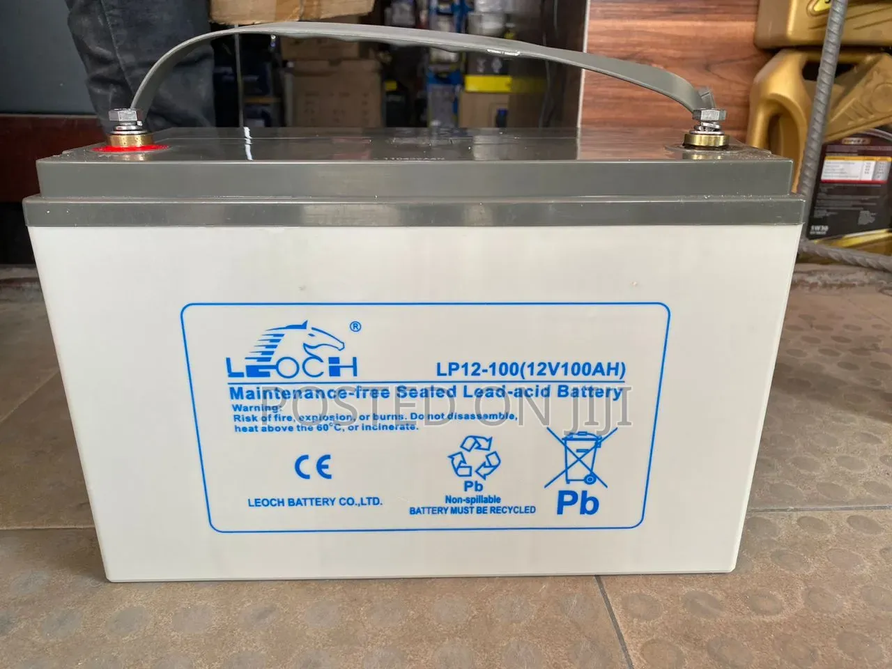 Leoch 100ah 12v Deep Cycle Battery