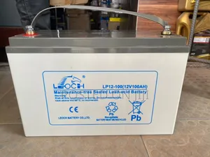 Leoch 100ah 12v Deep Cycle Battery