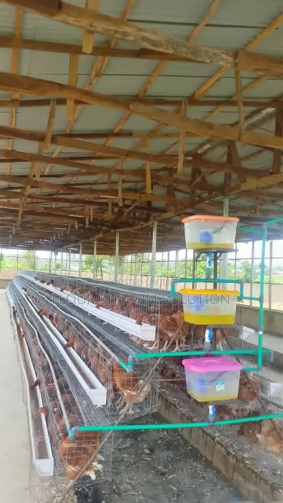 Abbey Poultry Cage