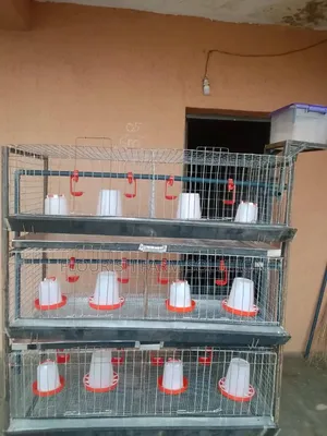 Abbey Poultry Cage