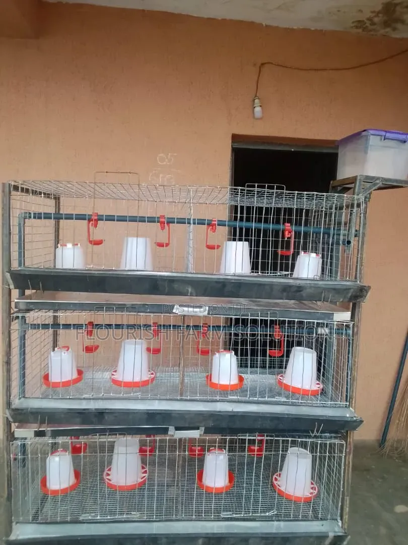 Abbey Poultry Cage