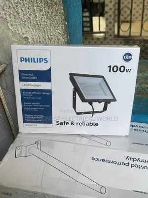 Philip Light 100W