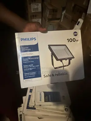 Philip Light 100W