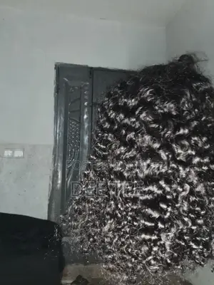 Human Hair Curly Wig