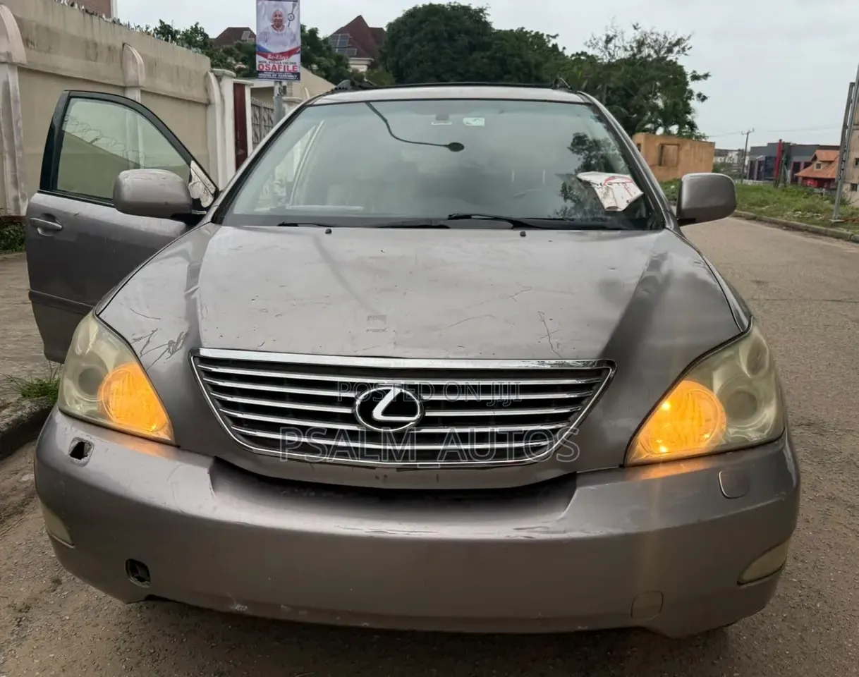 Lexus RX 330 2005 Brown