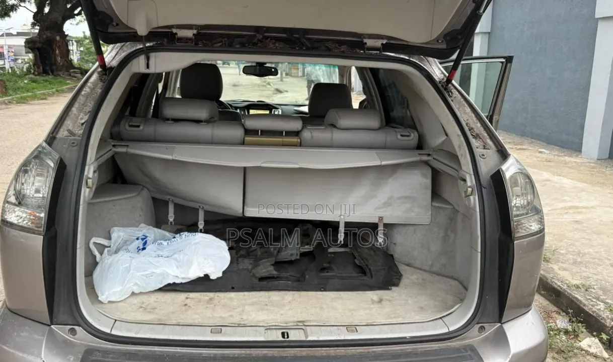 Lexus RX 330 2005 Brown