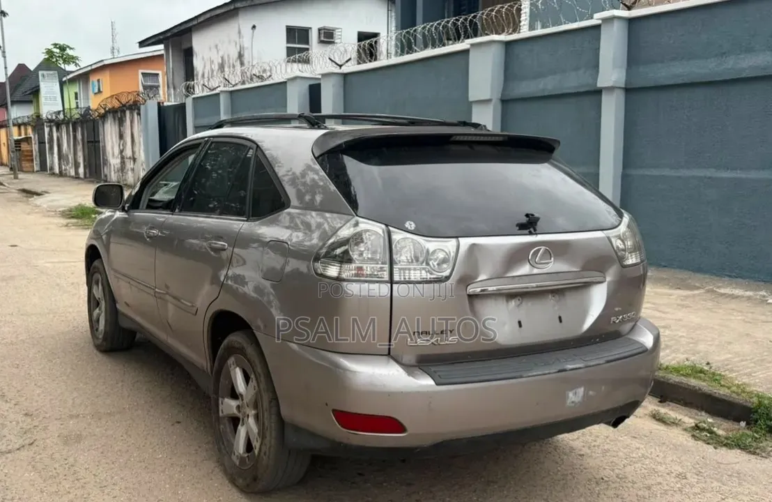 Lexus RX 330 2005 Brown