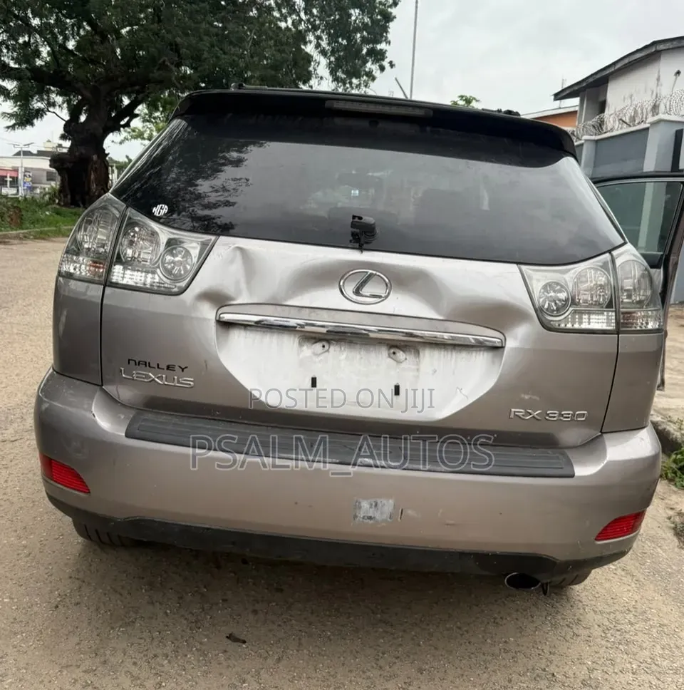 Lexus RX 330 2005 Brown