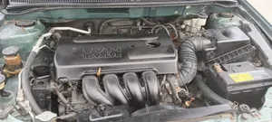 Toyota Corolla 2006 Blue