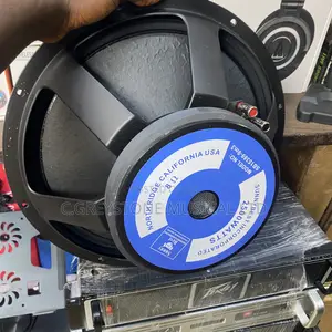 Naked Speaker 15 Inches SB 15389-9m3