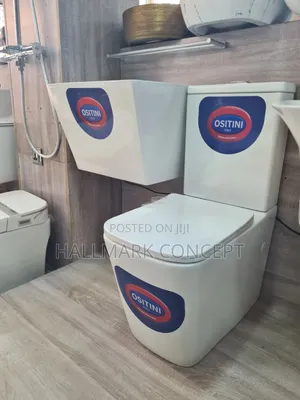 Luxury Water Closet With Sus Basin