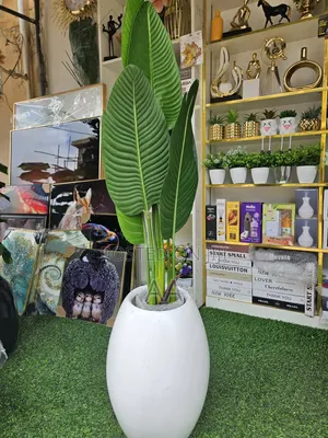 Artificial Plants and Fiber Pot
