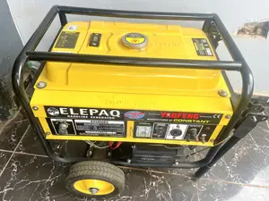 Elepaq Constant 4.5kva Generator SV6800E2