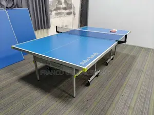 Outdoor Table Tennis ( Brand:Butterfly )