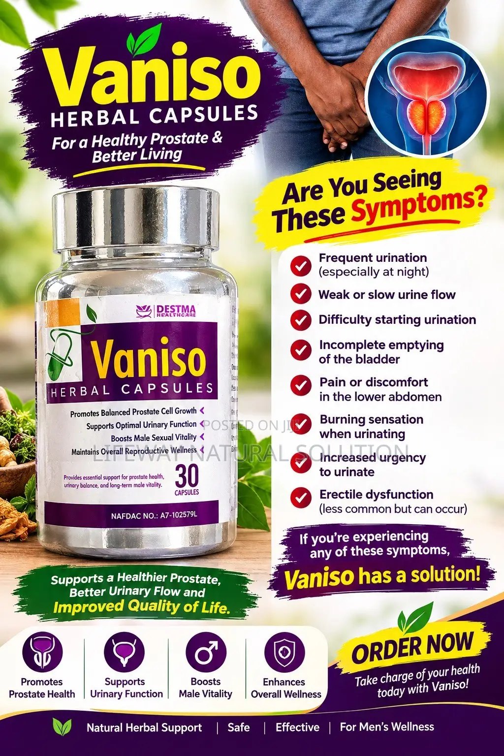 Vaniso Herbal Capsule
