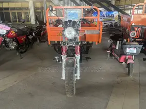 New Royal Motorcycle 2026 Orange