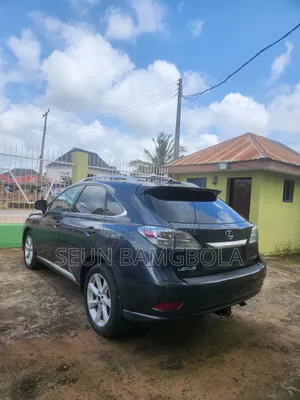 Lexus RX 350 2010 Gray