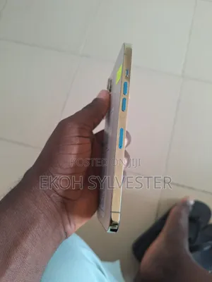 Apple iPhone 12 Pro Max 256 GB Gold