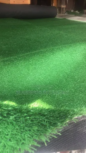 Carpet Grass for Homes With Warranty